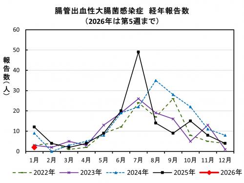 腸管出血性大腸菌感染症　経年報告数画像