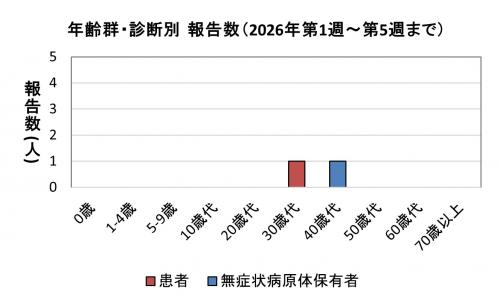 腸管出血性大腸菌感染症　年齢群別　診断別報告数画像