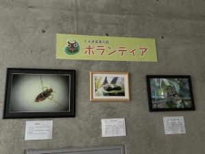 写真クラブ展示の様子