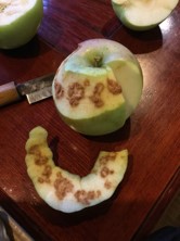 吸汁被害果の様子の写真