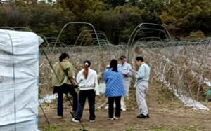 ベニバナインゲン栽培方法や課題の聞き取りの様子の写真