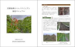 吾妻地域のベニバナインゲン栽培マニュアルの写真