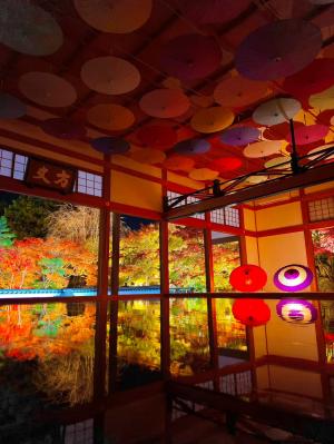 1位,kouichi_0520,宝徳寺（桐生市）の写真