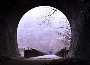 3位,goose350.cero_tairata_kazupiko,アプトの道（安中市）の写真