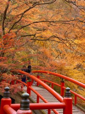 4位,hachikoba1,河鹿橋（渋川市）の写真