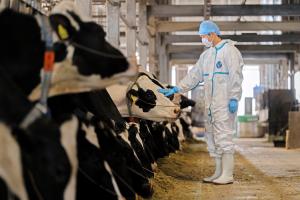 獣医師2(令和7年度)業務写真3