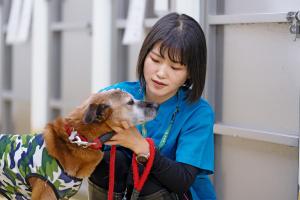 獣医師1(令和7年度)業務写真1