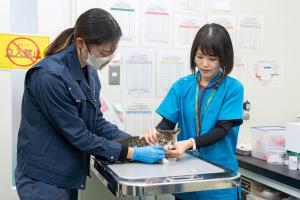 獣医師1(令和7年度)業務写真2