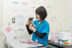 獣医師1(令和7年度)業務写真3