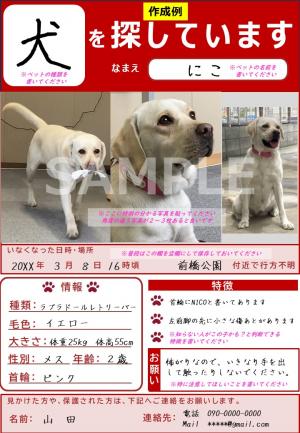迷子ペット捜索ポスター作成例の画像