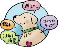 犬につけておくもの画像