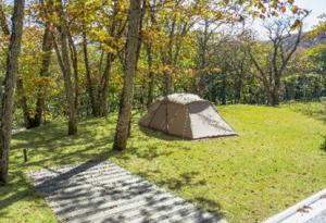 区画オートサイトの写真