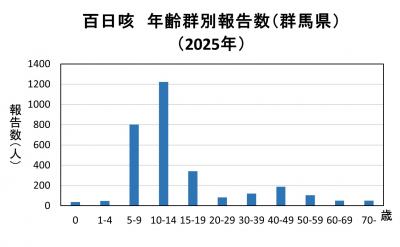 年齢群別（2025）グラフ画像