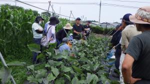 ナスキュウリ演習の様子の写真