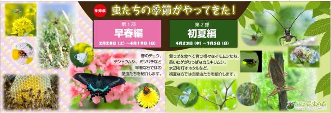 虫たちの季節バナー