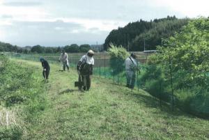 農地周りの草刈