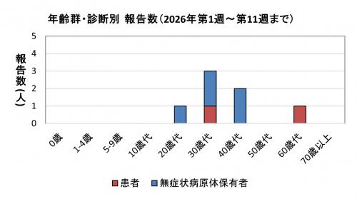 腸管出血性大腸菌感染症　年齢群別　診断別報告数画像