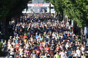 出走スタートの写真