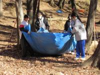 落葉清掃の写真