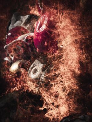 5位,black_coffee_660,少林山達磨寺（高崎市）の写真