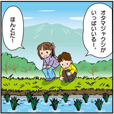 田んぼダムってなに?1コマ目画像