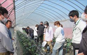 現地研修の画像