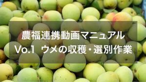 農福連携動画その1