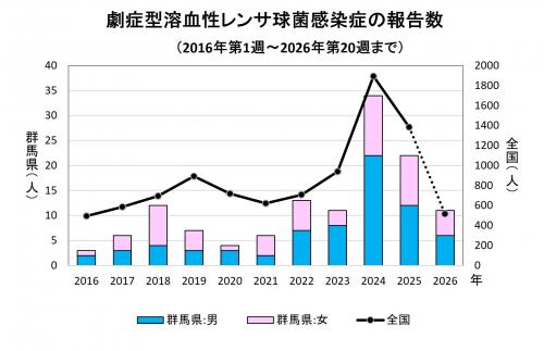劇症型溶血性レンサ球菌感染グラフ 経年画像