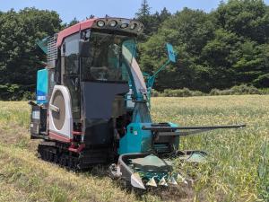 学生が汎用型微細断飼料収穫機を用いて、収穫作業を行っています。写真