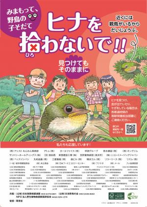 ヒナポスター表の画像