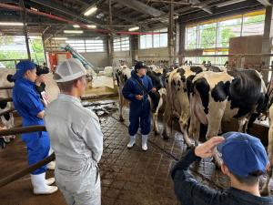 ホルスタイン登録協会の審査員の指導のもと、牛の見方を学んでいる様子です。写真