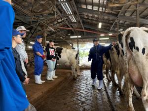 ホルスタイン登録協会の審査員の指導のもと、牛の見方を学んでいる様子です。写真