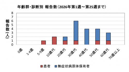 腸管出血性大腸菌感染症　年齢群別　診断別報告数画像