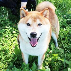 ひろし正面の写真