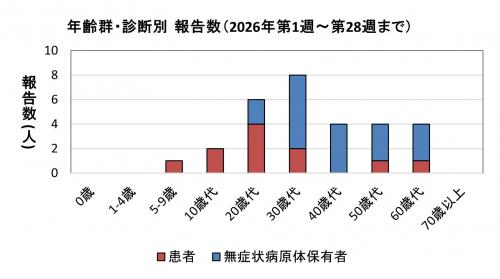 年齢群・診断別報告数(2021年)グラフ画像 腸管出血性大腸菌感染症 年齢群別 診断別報告数画像