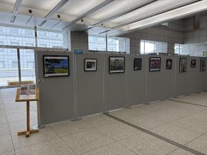 展示の様子の画像1