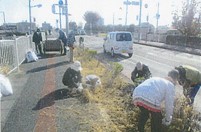 活動写真2