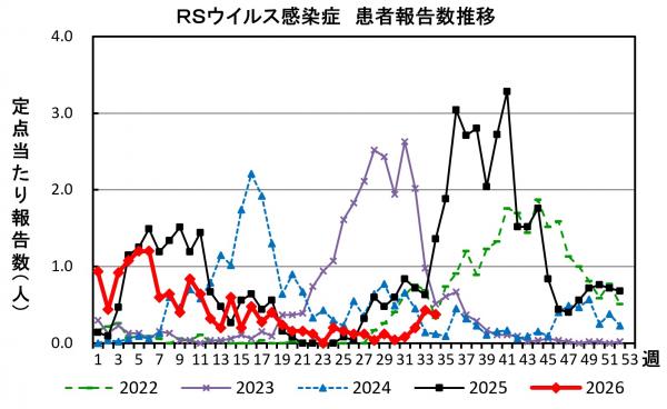 RSウイルス感染症 患者報告推移の画像