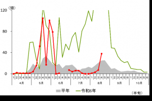 トラップ調査結果（高崎市上里見町）グラフ画像