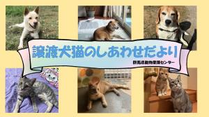 しあわせだよりの画像