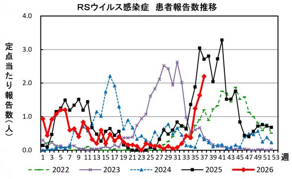 RSウイルス感染症 患者報告推移の画像