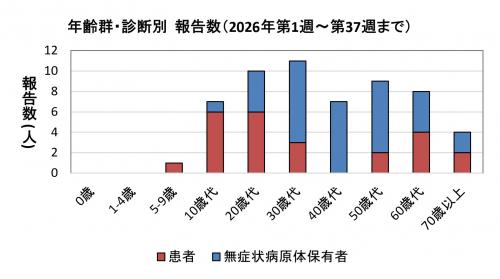 年齢群・診断別報告数(2021年)グラフ画像 腸管出血性大腸菌感染症 年齢群別 診断別報告数画像