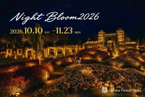 Night Bloomの画像