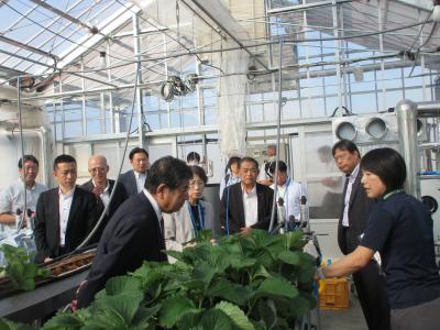 群馬県農業技術センターで説明を受ける様子の写真