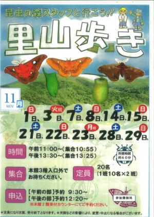 11月の里山歩き