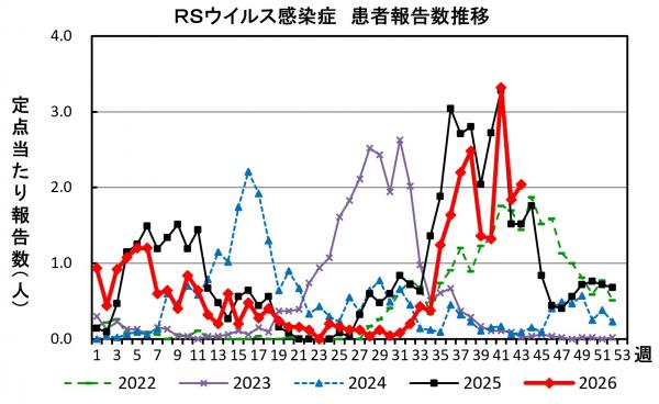 RSウイルス感染症 患者報告推移の画像