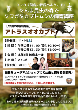 アトラスオオカブト飼育講座
