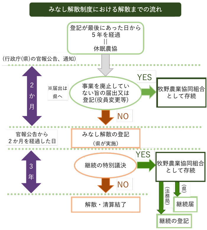 休眠農協のみなし解散制度における解散までの流れのイメージ画像