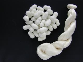 上州絹星の繭と生糸の写真 上州絹星の繭と生糸の写真