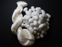 なつこ繭と生糸 なつこ繭と生糸